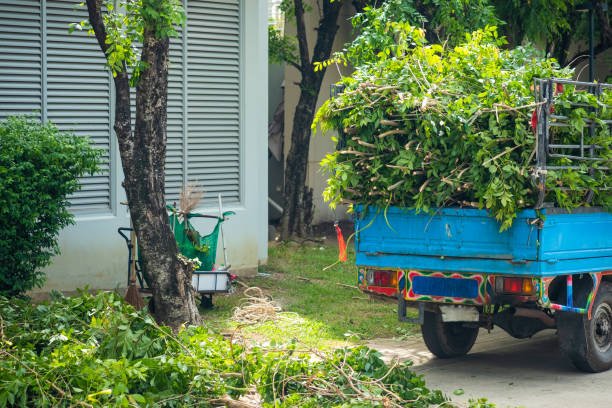 Tree Pruning